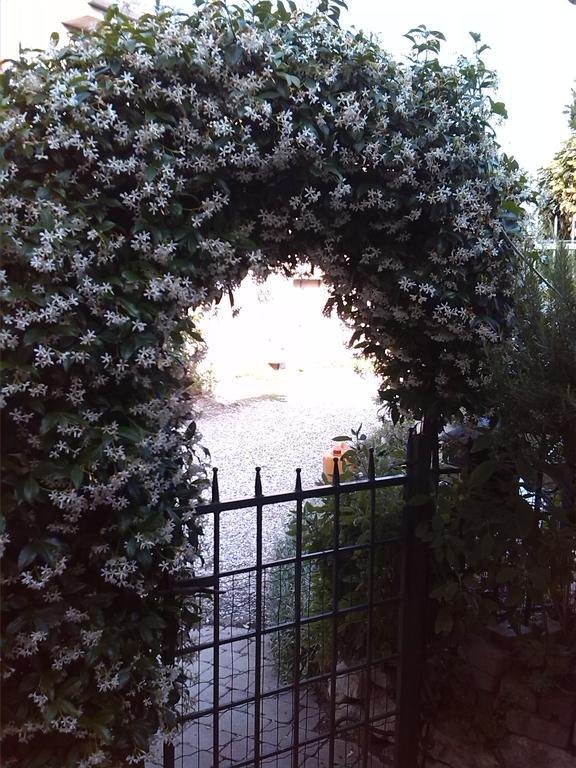 La Carbonara 6 Bed & Breakfast Bardolino Luaran gambar