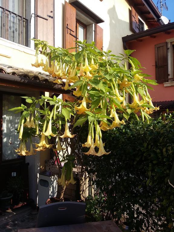 La Carbonara 6 Bed & Breakfast Bardolino Luaran gambar