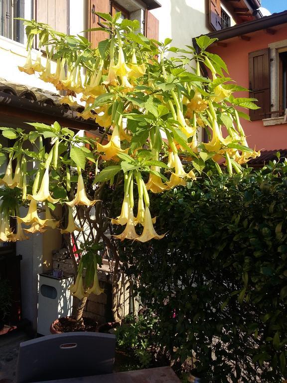 La Carbonara 6 Bed & Breakfast Bardolino Luaran gambar
